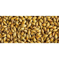 Simpsons DRC® Malt 1 kg Hel 280-320 EBC - Simpsons Malt