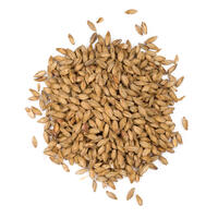 Viking Munich Light 1 Kg Knust 14 - 18 EBC - Viking Malt