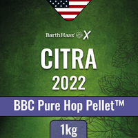Citra BBC 2022 1kg 13% alfasyre