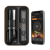 INKBIRD WiFi and Bluetooth Thermometer Trådløst termometer med 2 sonder