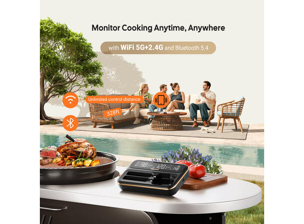 INKBIRD WiFi and Bluetooth Thermometer