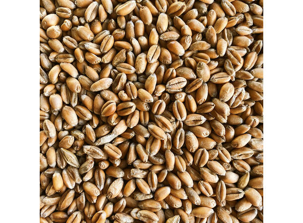 Maris Otter Pale Ale 1 kg hel