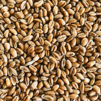 Torrified Wheat - 1 kg knust Simpsons Malt - 2.5 - 5.0 EBC