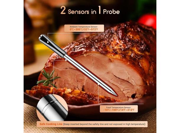 Bluetooth Meat Thermometer INT-11P-B