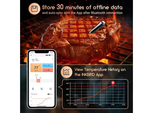 Bluetooth Meat Thermometer INT-11P-B