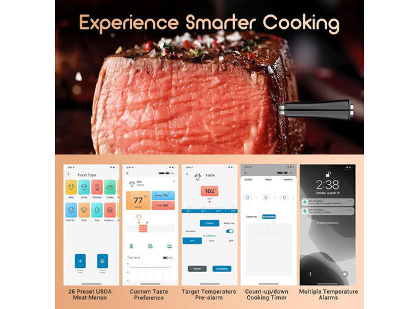 Bluetooth Meat Thermometer INT-11P-B