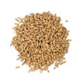 Bohemian Pilsner Malt 1 kg Knust 4 EBC - Weyermann