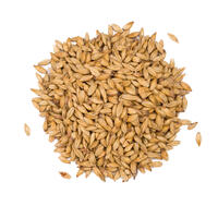 Caramel 50 - 250g Knust 40-60 EBC - Viking Malt