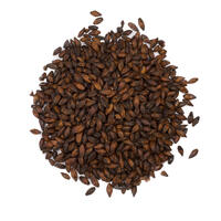 Chocolate Malt 250g Hel 800-1000 EBC - Viking Malt