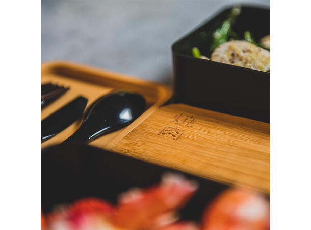 YAKINIKU Bento box