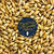 Low color Golden Promise 1kg hel malt
