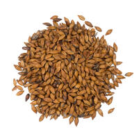 Brown Malt 1 kg knust 121-148 EBC - Crisp malt