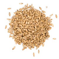 Lightly Peated 250g Hel Max 10 EBC - Viking Malt