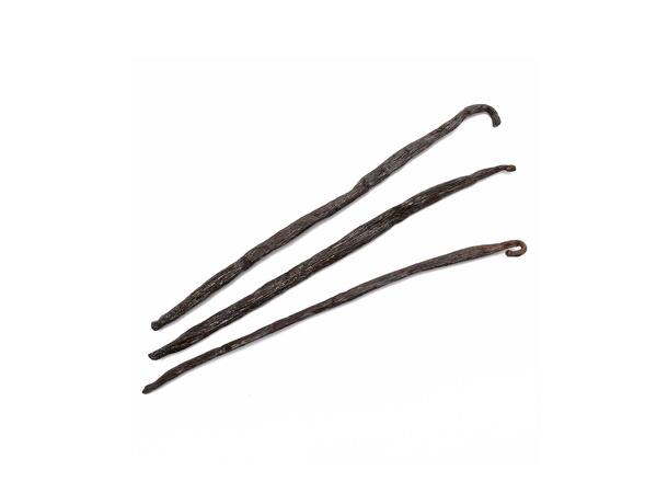 Vanilje, stang, Bourbon, Madagaskar
