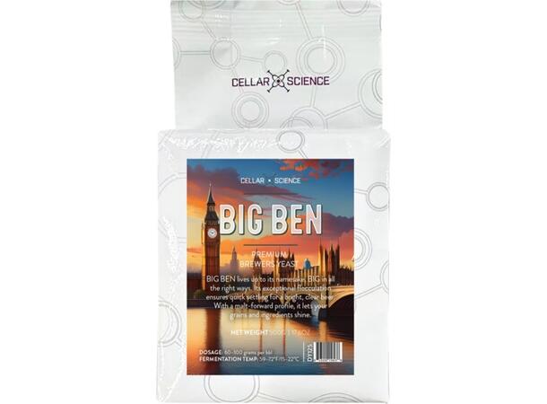 CellarScience BIG BEN Ale Yeast 500g