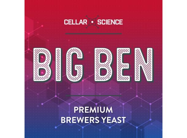CellarScience BIG BEN Ale Yeast 500g