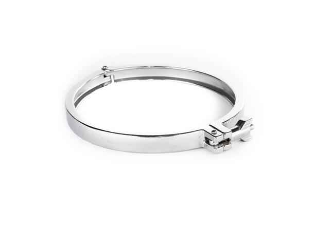 Tri Clamp, 6"