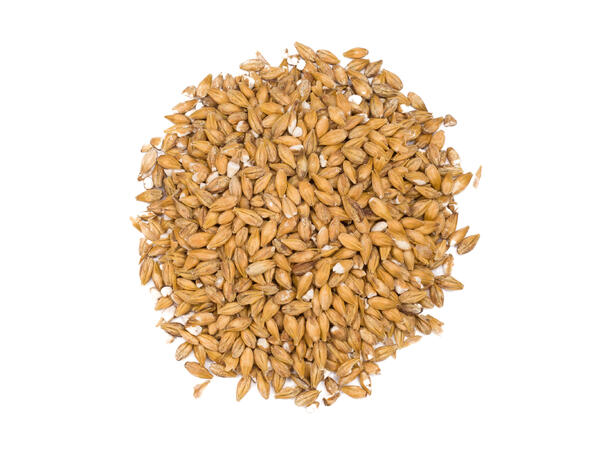 Dextrin Malt fra Viking Malt - caramell, toffee og sødme