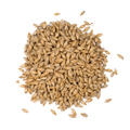 Extra Pale Premium Malt 1 kg hel 2-3,5 EBC - Weyermann