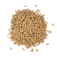 Extra Pale Premium Malt 1 kg hel 2-3,5 EBC - Weyermann