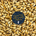Low Colour Golden Promise 5 Kg Hel 2,5 - 4,5 EBC - Simpsons Malt