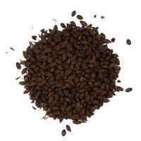 Roasted Barley 250g Hel 900-1200 EBC - Viking Malt