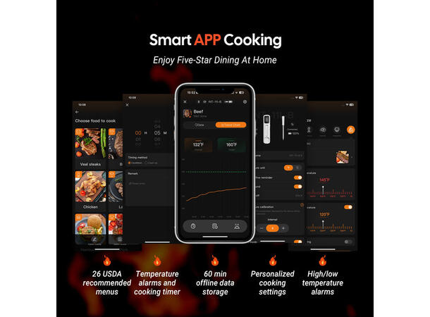 Bluetooth Mini Wireless Meat Thermometer