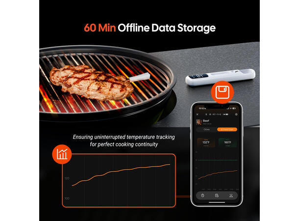 Bluetooth Mini Wireless Meat Thermometer