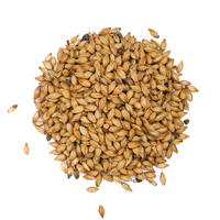 Caramel 300 - 250g Knust 270-330 EBC - Viking Malt