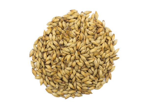 Château Cara Gold 1 kg hel