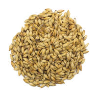 Château Cara Gold 1 kg knust 120 EBC - Castle malting