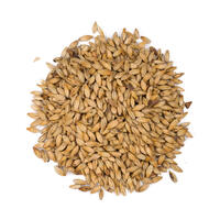 Château Melano 250g Knust 80 EBC - Castle malting