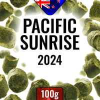 Pacific Sunrise 2024 100g 11,5% AA, Nitrogenpakket