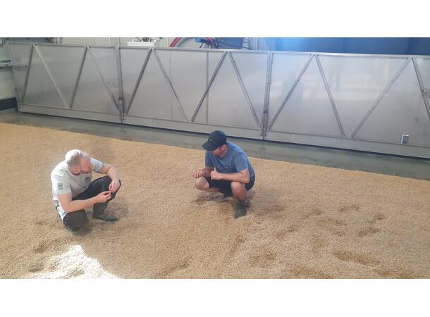 Pilsner malt 1 Kg Hel