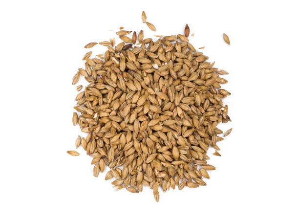 Pilsner malt 1 Kg Hel