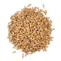 Smoked Wheat Malt 250g Knust Max 10 EBC - Viking Malt