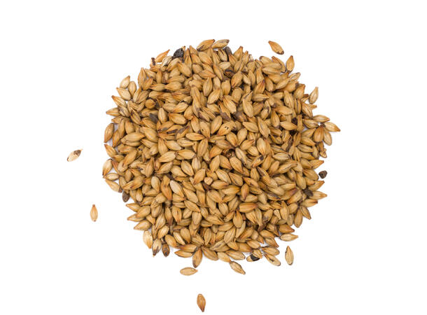 Viking Caramel 300 er en mørk karamellmalt