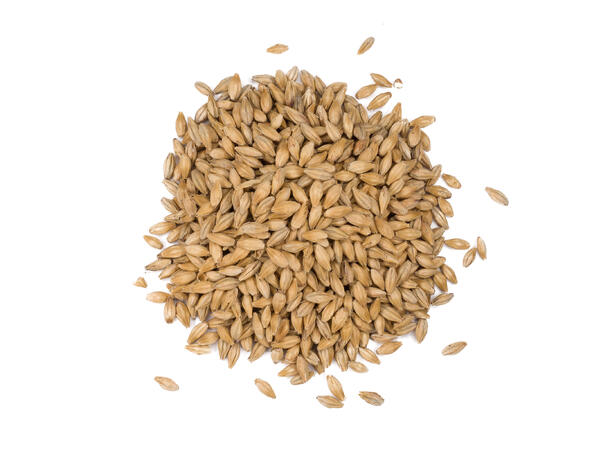Extra Pale Premium Malt 5 kg hel