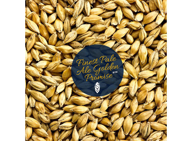 Low color Golden Promise 1kg hel malt