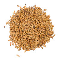 Caramel 100 - 250g Knust 90-110 EBC - Viking Malt