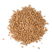 Château Spelt 1 kg Knust 3-7 EBC - Castle malting