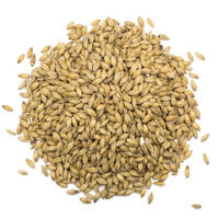Maris Otter 1 kg Knust 5 - 7,5 EBC Thomas Fawcett