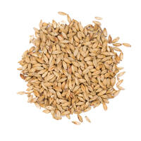 Red Ale 250g Knust 60-80 EBC - Viking Malt