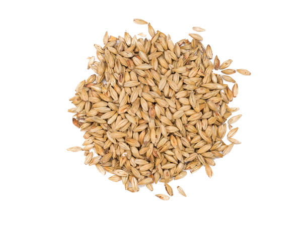 Red Ale Malt fra Viking Malt gir flott farge og aroma.