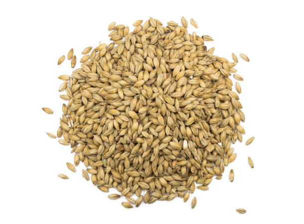 Viking Pale Malt