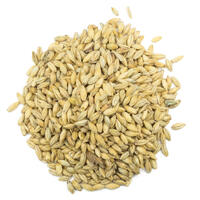 Carapils Malt 1 kg knust 4 EBC - Weyermann