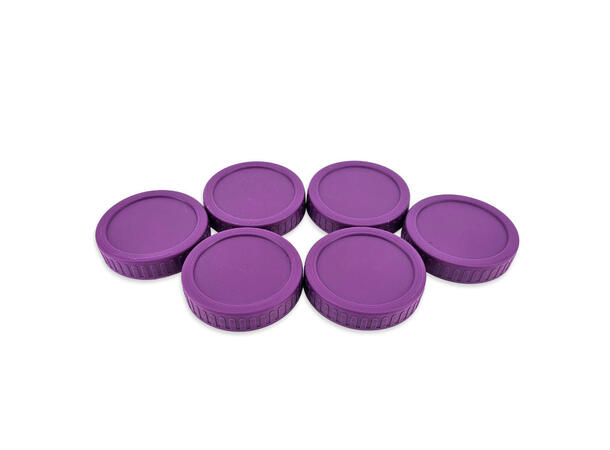 Haul Mason Jar Purple Lids