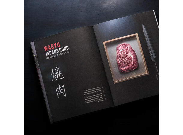 Japanese grill - The magic of YAKINKIKU