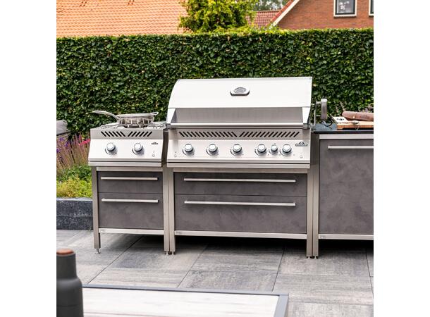 Napoleon Built-in 700 series 38"