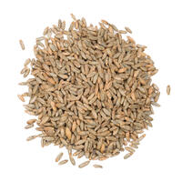 Rye Malt 1 kg knust 4-10 EBC - Viking Malt